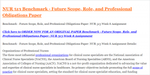 Benchmark - Future Scope, Role, and Professional Obligations Paper NUR 513 Week 8 Assignment
