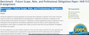 Benchmark – Future Scope, Role, and Professional Obligations Paper NUR 513 Week 8 Assignment