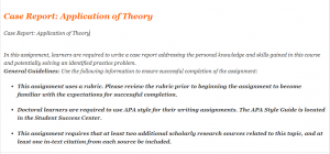Case Report Application of Theory