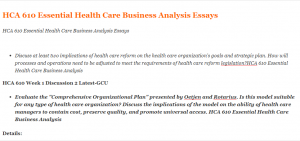 HCA 610 Essential Health Care Business Analysis Essays