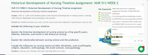 Historical Development of Nursing Timeline Assignment NUR 513 WEEK 2