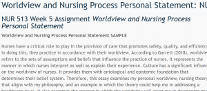 NUR 513 Week 5 Assignment Worldview and Nursing Process Personal Statement Slayers