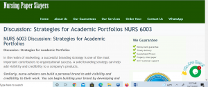 NURS 6003 Discussion Strategies for Academic Portfolios Slayers