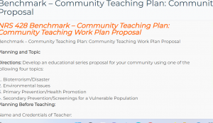NRS 428 Benchmark - Community Teaching Plan Community Teaching Work Plan Proposal Image