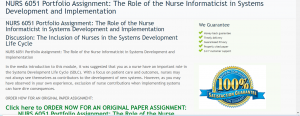 NURS 6051 Portfolio Assignment The Role of the Nurse Informaticist in Systems Development and Implementation