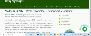Walden NURS6053 Week 7 Workplace Environment Assessment