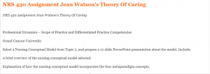 NRS 430 Assignment Jean Watson’s Theory Of Caring