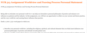 NUR 513 Assignment Worldview and Nursing Process Personal Statement