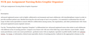 NUR 590 Assignment Nursing Roles Graphic Organizer