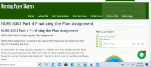 NURS 6003 Part 4 Finalizing the Plan Assignment Slayers
