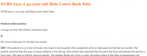NURS 6512 A 42-year-old Male Lower Back Pain