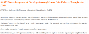 NURS 8002 Assignment Linking Areas of Focus Into Future Plans for the DNP