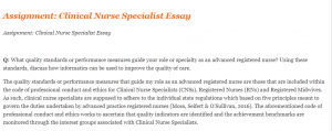 Assignment Clinical Nurse Specialist Essay