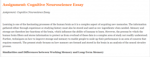Assignment Cognitive Neuroscience Essay