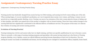 Assignment Contemporary Nursing Practice Essay