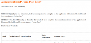 Assignment DNP Term Plan Essay