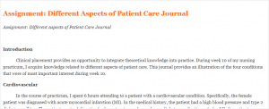 Assignment Different Aspects of Patient Care Journal