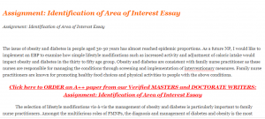 Assignment Identification of Area of Interest Essay