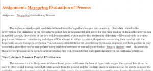 Assignment Mayspring Evaluation of Process