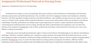 Assignment Professional Network in Nursing Essay
