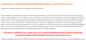 Assignment Safeguarding Health Information and Systems Essay