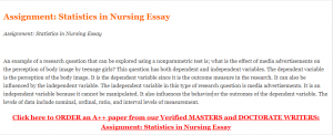 Assignment Statistics in Nursing Essay
