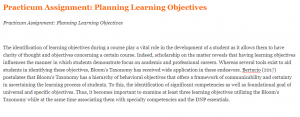 Practicum Assignment Planning Learning Objectives 