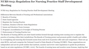 NURS 6051 Regulation for Nursing Practice Staff Development Meeting