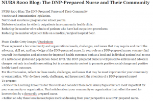 NURS 8200 Blog: The DNP-Prepared Nurse and Their Community