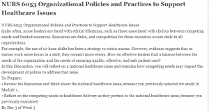 NURS 6053 Organizational Policies and Practices to Support Healthcare Issues