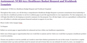 Assignment: NURS 6211 Healthcare Budget Request and Workbook Template