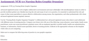 Assignment: NUR 513 Nursing Roles Graphic Organizer