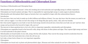 Functions of Mitochondria and Chloroplast Essay