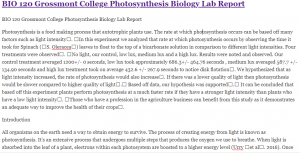 BIO 120 Grossmont College Photosynthesis Biology Lab Report