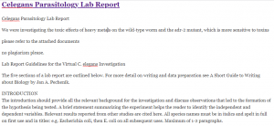 Celegans Parasitology Lab Report