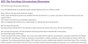 HIV The Envelope Glycoprotein Discussion