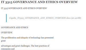 IT 3315 GOVERNANCE AND ETHICS OVERVIEW