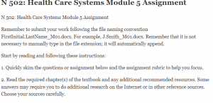 N 502 Health Care Systems Module 5 Assignment