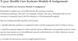 N 502 Health Care Systems Module 8 Assignment 