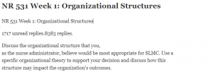 NR 531 Week 1 Organizational Structures