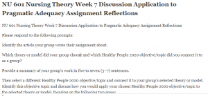 NU 601 Nursing Theory Week 7 Discussion Application to Pragmatic Adequacy Assignment Reflections