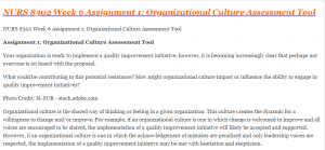 NURS 8302 Week 6 Assignment 1 Organizational Culture Assessment Tool