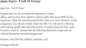 mos 6301- Unit II Essay
