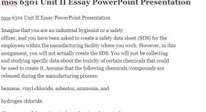 mos 6301 Unit II Essay PowerPoint Presentation