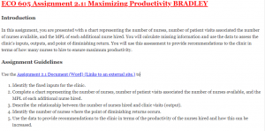 ECO 605 Assignment 2.1: Maximizing Productivity BRADLEY