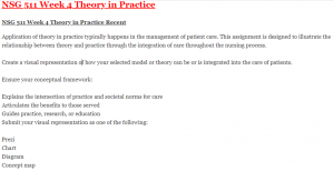 NSG 511 Week 4 Theory in Practice