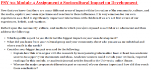 PSY 311 Module 4 Assignment 2 Sociocultural Impact on Development