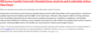 BHA4004 Hospital Issue Analysis and Leadership Action Plan Paper Capella University