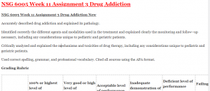 NSG 6005 Week 11 Assignment 3 Drug Addiction