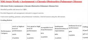 NSG 6020 Week 3 Assignment 3 Chronic Obstructive Pulmonary Disease